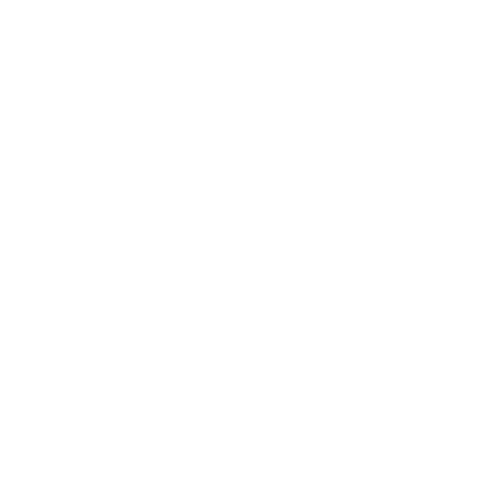 FFS Logo